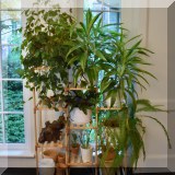 F26. Multi-level plant stand. 45”h x 36” 
